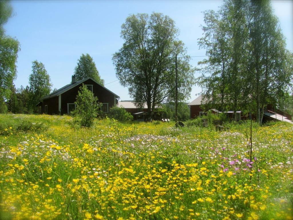 Ellis Garden Guest House Vemhån Exterior photo