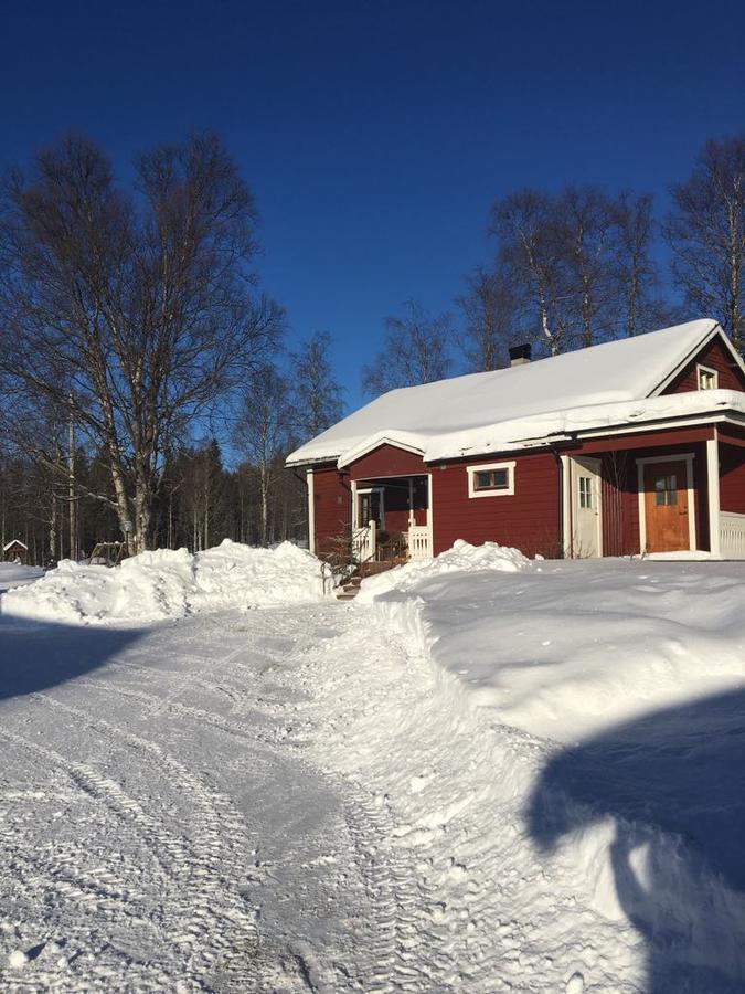 Ellis Garden Guest House Vemhån Exterior photo